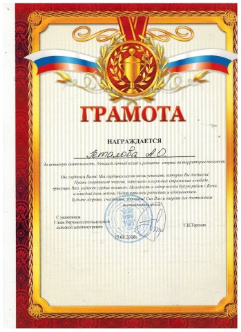 Наши достижения 2018 года